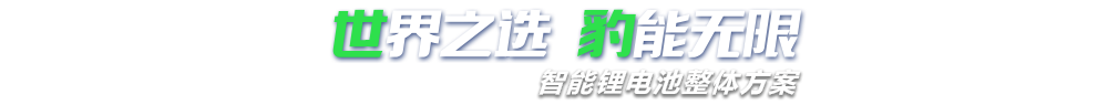 世豹新能源,智能鋰電池整體方案專家,提供鋰電池定製